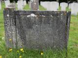 image number DSC_3317
